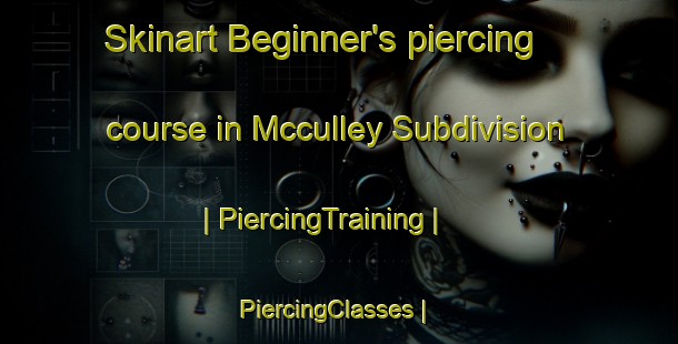 Skinart Beginner's piercing course in Mcculley Subdivision | PiercingTraining | PiercingClasses | SkinartTraining-United States